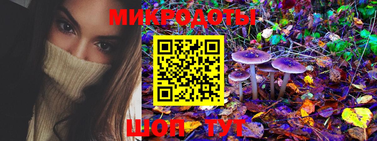 Псилоцибиновые грибы мицелий Камышин