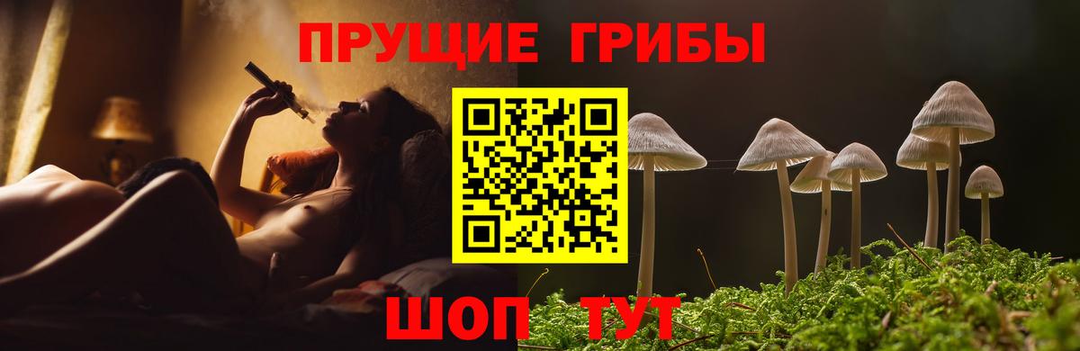 Галлюциногенные грибы GOLDEN TEACHER  Вход с VPN  купить наркотики цена  Камышин 